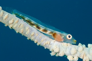 「無題」のサムネイル画像