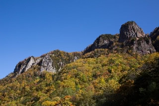 「無題」のサムネイル画像