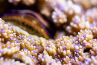 「無題」のサムネイル画像