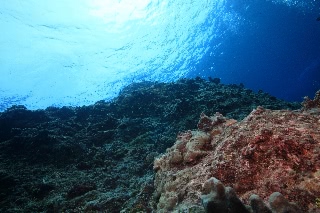 「無題」のサムネイル画像