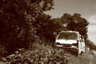 「朽ちゆく」のサムネイル画像