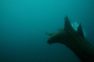 「無題」のサムネイル画像