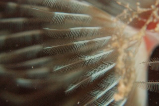 「無題」のサムネイル画像