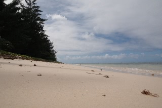 「無題」のサムネイル画像