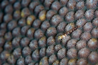 「無題」のサムネイル画像