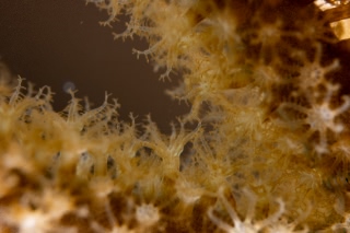 「無題」のサムネイル画像