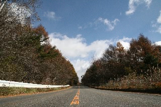 「山道」のサムネイル画像