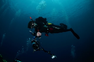 「無題」のサムネイル画像