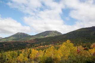 「無題」のサムネイル画像