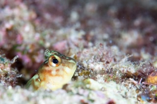 「無題」のサムネイル画像