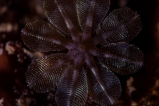 「無題」のサムネイル画像