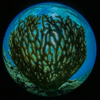 「無題」のサムネイル画像