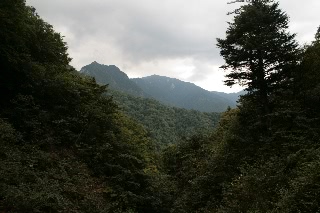 「無題」のサムネイル画像