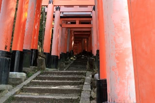 「無題」のサムネイル画像