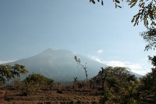 「無題」のサムネイル画像
