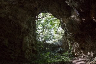 「無題」のサムネイル画像