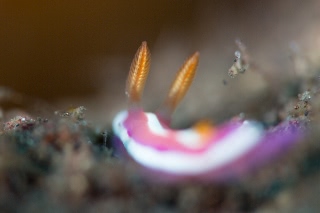 「無題」のサムネイル画像