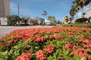 「無題」のサムネイル画像