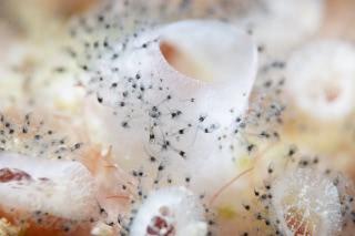 「無題」のサムネイル画像