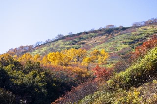 「無題」のサムネイル画像