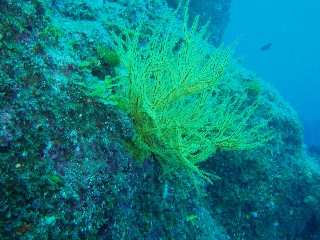 「無題」のサムネイル画像