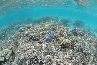 「無題」のサムネイル画像