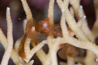 「無題」のサムネイル画像