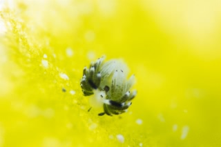 「無題」のサムネイル画像