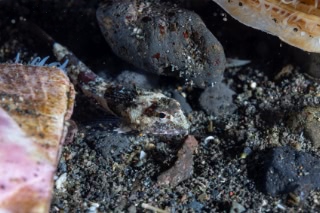 「無題」のサムネイル画像