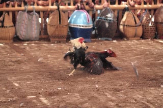 「無題」のサムネイル画像