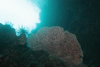 「無題」のサムネイル画像