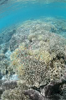 「無題」のサムネイル画像