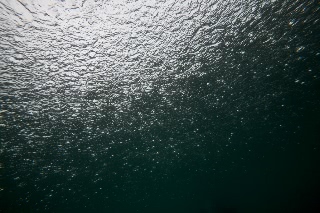 「無題」のサムネイル画像