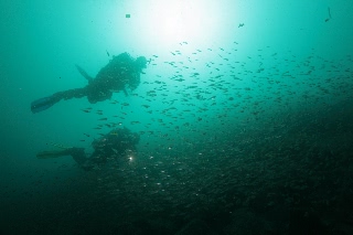 「無題」のサムネイル画像