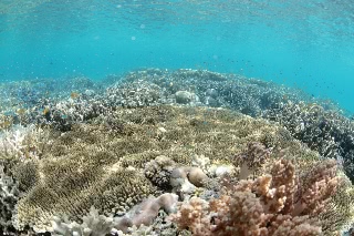 「無題」のサムネイル画像