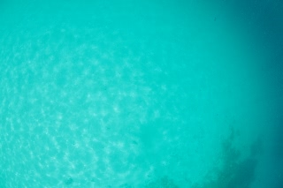 「無題」のサムネイル画像