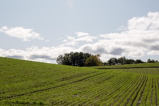 「無題」のサムネイル画像