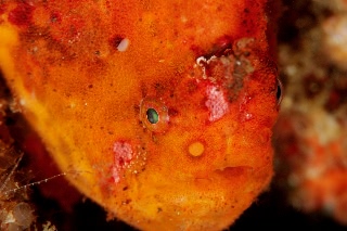 「無題」のサムネイル画像