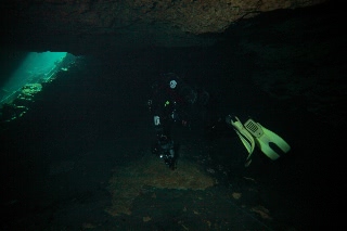 「無題」のサムネイル画像