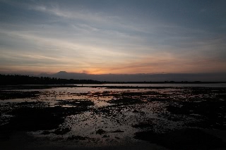 「無題」のサムネイル画像