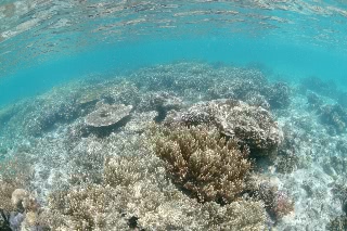 「無題」のサムネイル画像