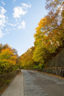 「無題」のサムネイル画像