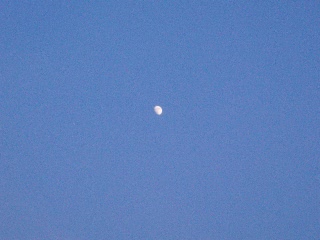 「無題」のサムネイル画像