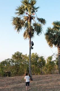 「無題」のサムネイル画像