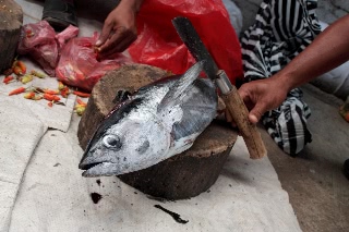 「無題」のサムネイル画像