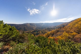 「無題」のサムネイル画像