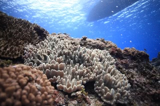 「無題」のサムネイル画像