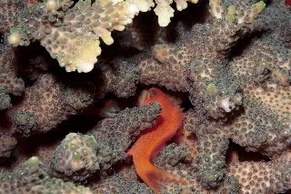 「無題」のサムネイル画像