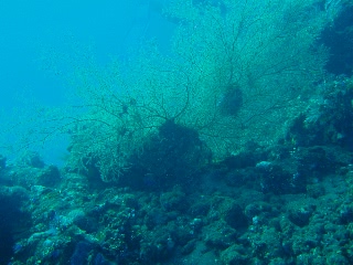 「無題」のサムネイル画像