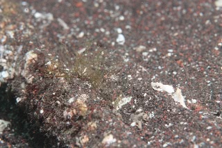 「無題」のサムネイル画像